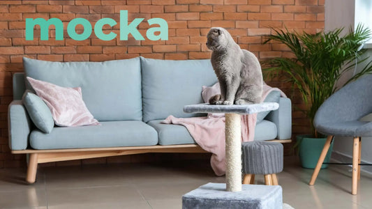 Gato disfrutando de un árbol rascador para mantener sus uñas saludables y jugar, disponible en Mocka Store
