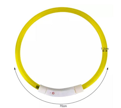 Collar con led iluminado para perros