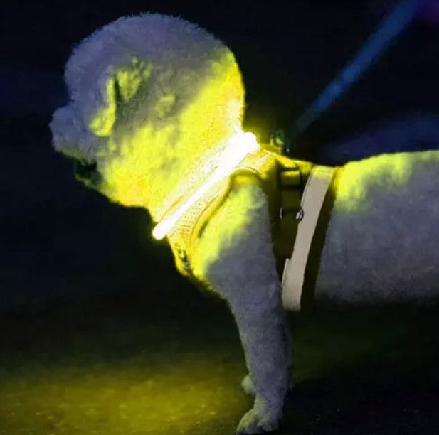 Collar con led iluminado para perros
