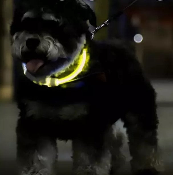 Collar con led iluminado para perros
