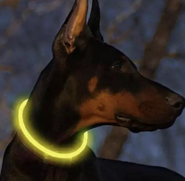 Collar con led iluminado para perros