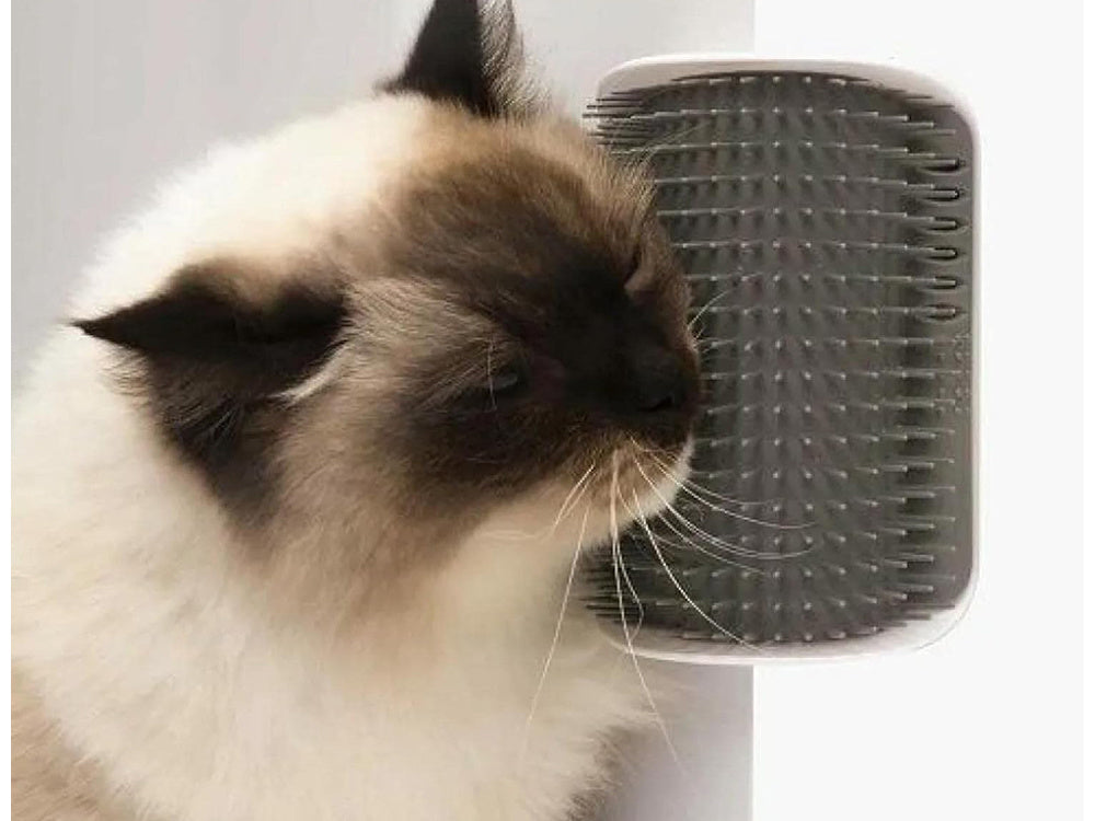 Poste rascador para gatos, cepillo rascador de gatos