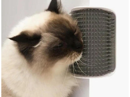 Poste rascador para gatos, cepillo rascador de gatos