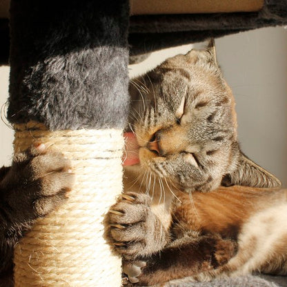Arbol rascador para gatos Mocka Store