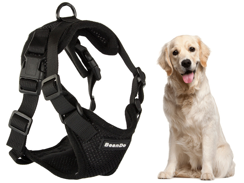 Arnés para perros, xxl Mocka Store